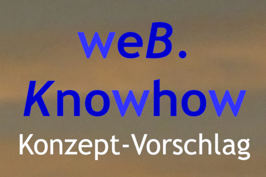 Konzept der Webseite